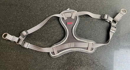 Photo of free Puppy Harness (Muswell Hill N22) #1