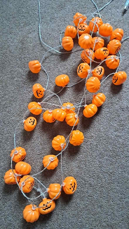 Photo of free Halloween Lights plus extras (The Grange EH9) #3