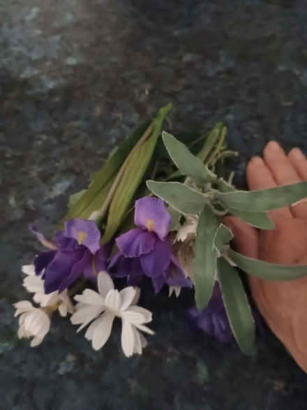 Photo of free Artificial flowers (Teddington TW11) #1
