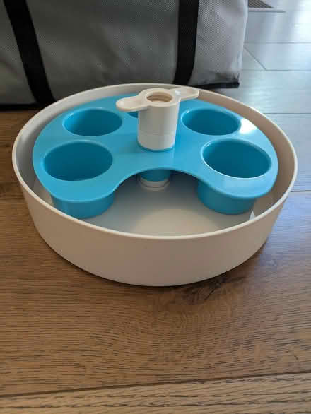 Photo of free Puzzle/slow feeder dog bowl (Alameda) #1