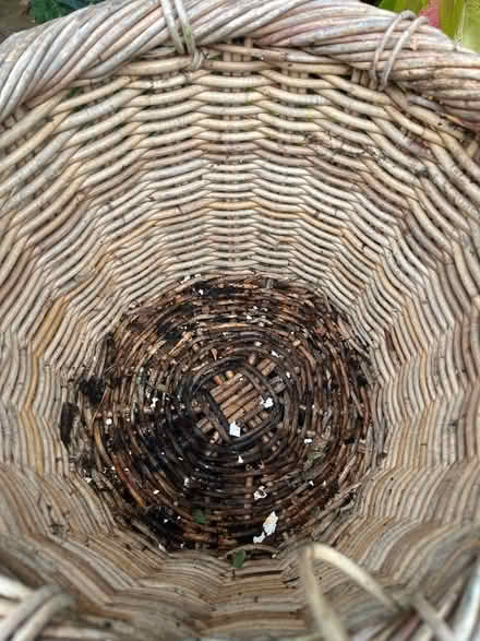 Photo of free Basket plant holder (Dundrum) #2