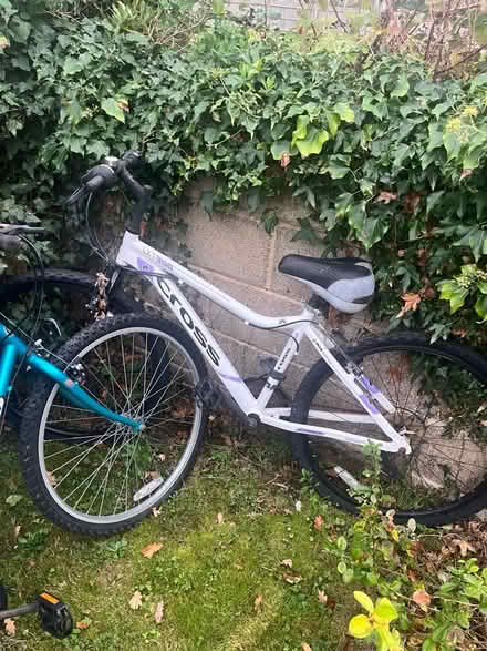 Photo of free 3 bikes (Cheltenham) #2