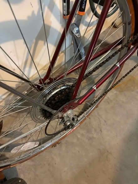 Photo of free Schwinn Bike (East York) #4