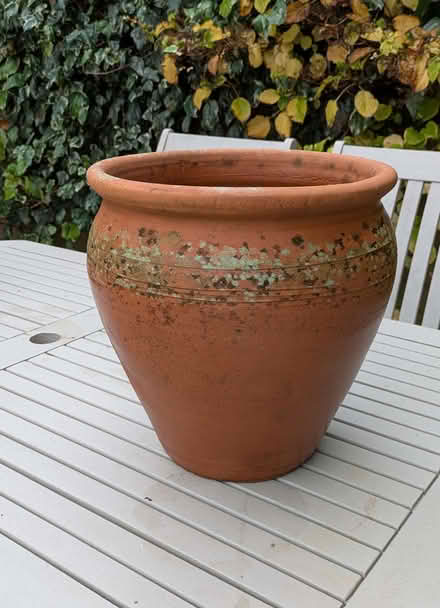 Photo of free Terracotta Pot (Aldwick PO21) #1