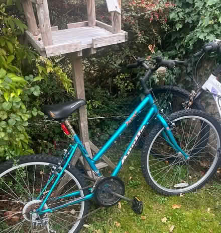 Photo of free Wooden Bird feeder (Cheltenham) #1