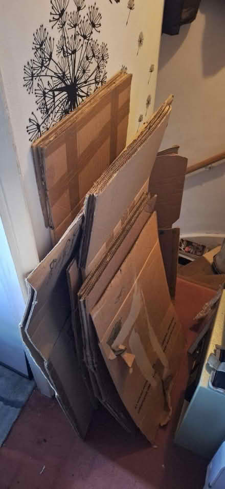 Photo of free Moving boxes (Welling DA16) #1