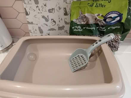 Photo of free Cat litter tray (Southend-on-Sea SS2) #2