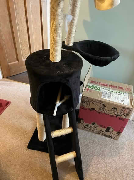 Photo of free Cat tree (Twerton) #2