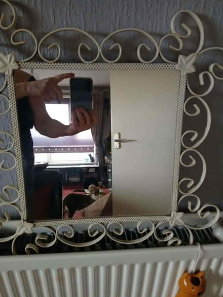 Photo of free Ornate white framed mirror (Little Chester DE1) #1