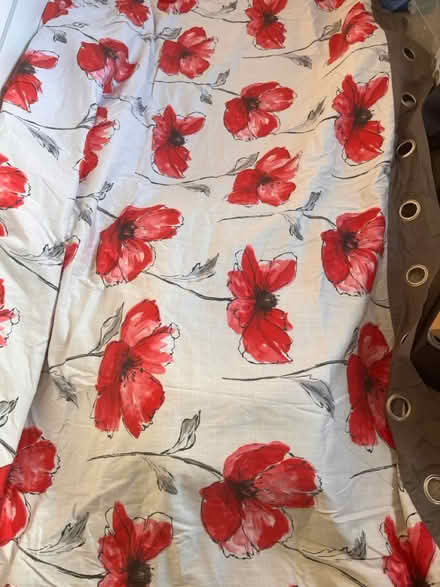 Photo of free A pair of curtains (Craigour EH17) #1