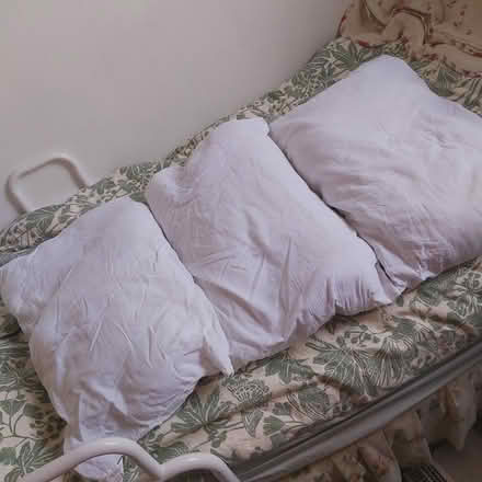 Photo of free Cleaned Pillows (Ramsden Heath CM11) #1
