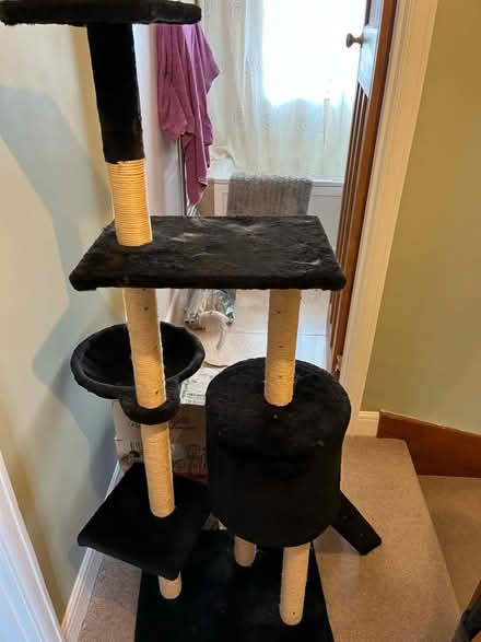 Photo of free Cat tree (Twerton) #1