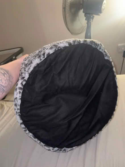 Photo of free Cat bed (Heywood) #4