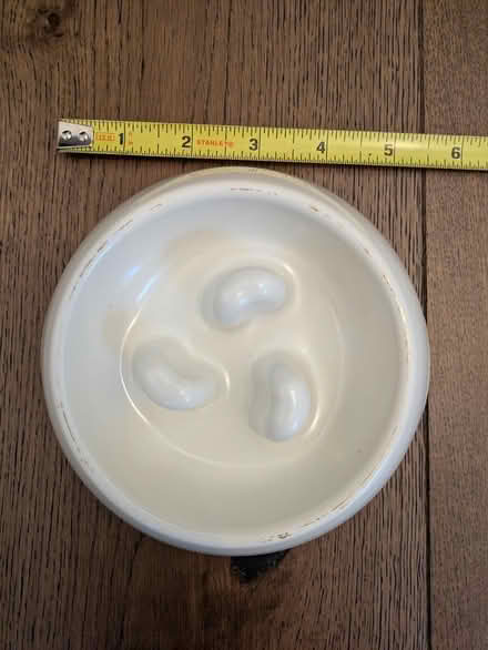 Photo of free Slow feeder dog bowl (Alameda) #1