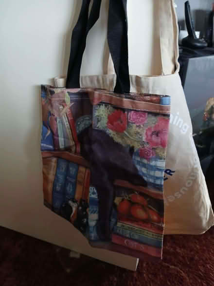 Photo of free Tote bags (Little Chester DE1) #1