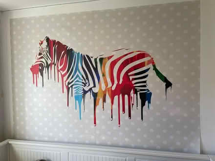 Photo of free Vinyl Wall Mural Rainbow Zebra (Clerwood EH12) #1