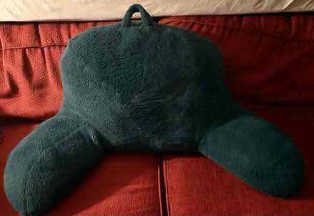 Photo of free Backrest pillow (North Brunswick, NJ) #1