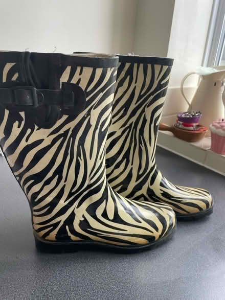 Photo of free Ladies wellies size 7 (Welling DA16) #1