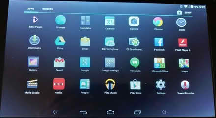 Photo of free Old Android Tablet (Heybridge CM9) #3