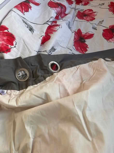 Photo of free A pair of curtains (Craigour EH17) #4