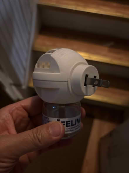 Photo of Feliway cat difuser (North Arlington, NJ) #1