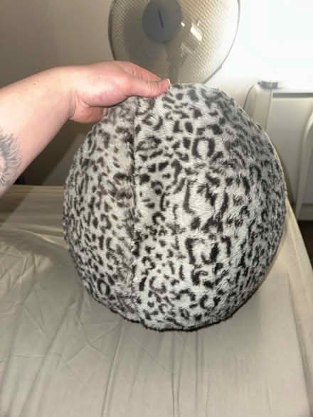 Photo of free Cat bed (Heywood) #2