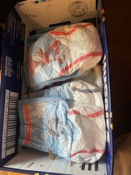 Photo of free Box of Pull-Ups (Ottawa East/West) #1