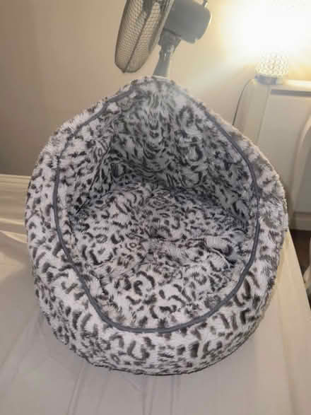 Photo of free Cat bed (Heywood) #1