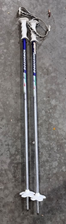 Photo of free Child 32” / 80 cm Alpine Ski Poles (Alta Vista) #1