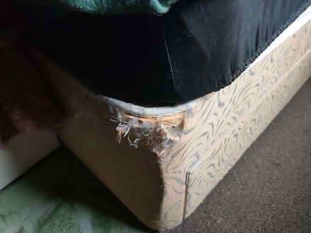 Photo of free Divan bed base (king size) (Penrith CA11) #1