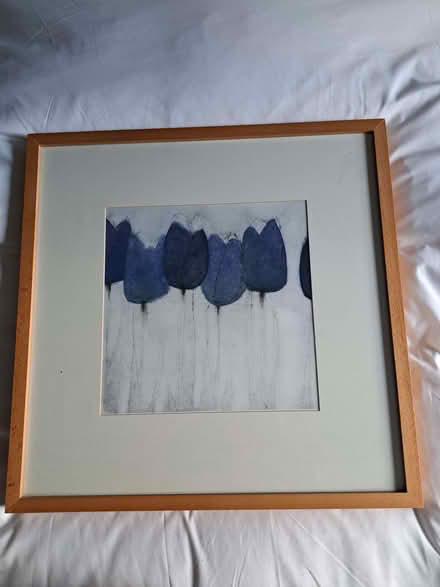 Photo of free Ikea Tulip Print (Dronfield S18) #1