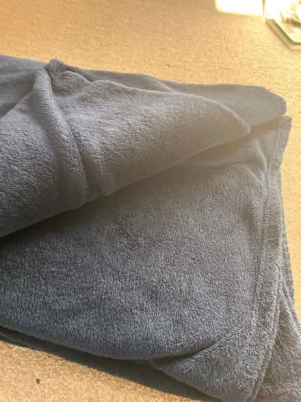 Photo of free Bed cover (Craigour EH17) #1