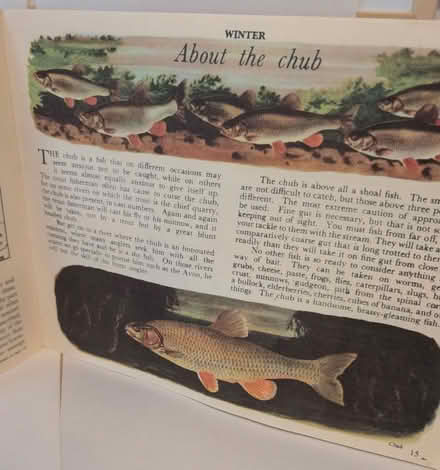 Photo of vintage photographs (CH60) #3