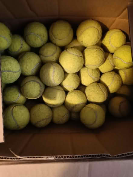 Photo of free Box of tennis balls (Aldershot GU12) #1