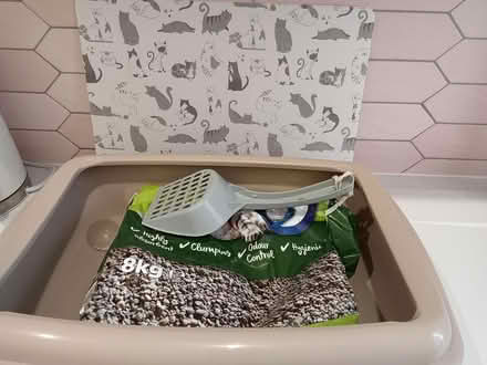 Photo of free Cat litter tray (Southend-on-Sea SS2) #1