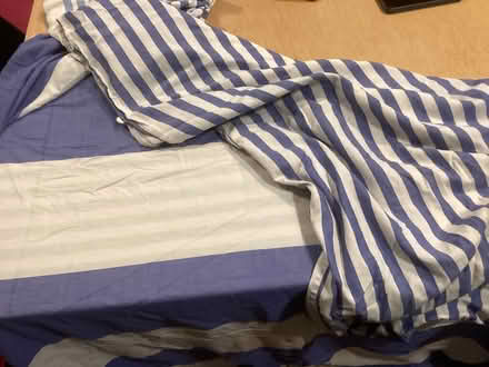 Photo of free Queen duvet (Northwest Seattle, phinney) #1