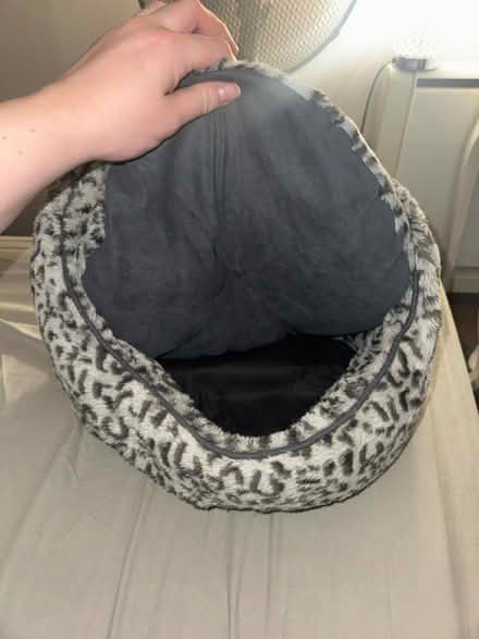 Photo of free Cat bed (Heywood) #3