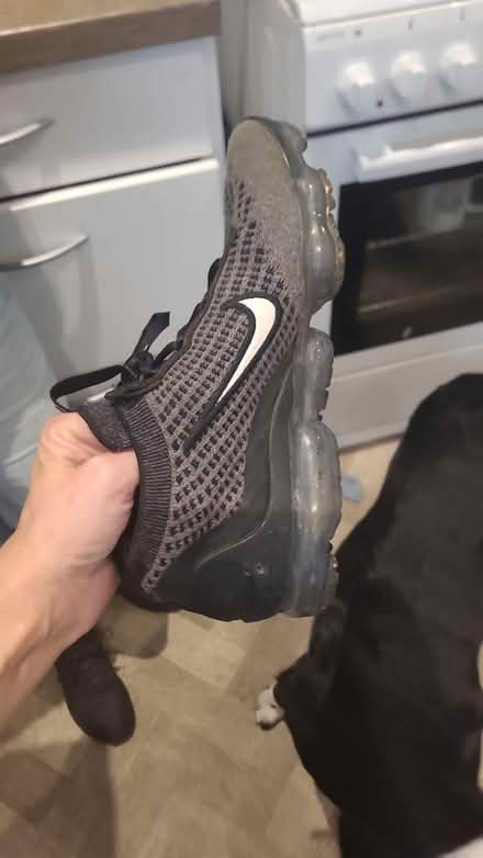 Photo of A lost trainer (Thorton FY5) #2