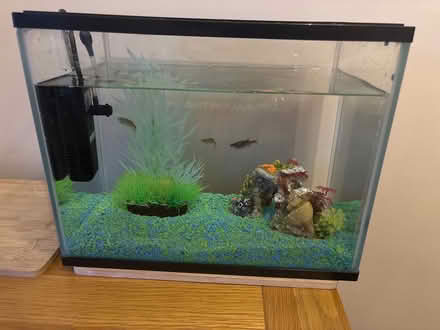 Photo of free Working fish tank (B92 Hampton in Arden) #1