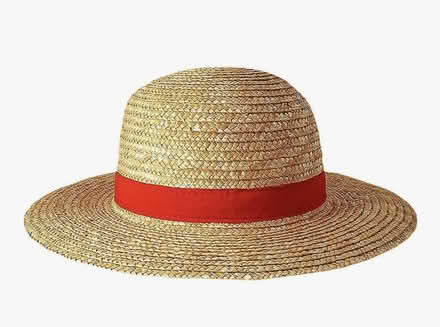 Photo of Straw hat (Bradford on Avon BA15) #1