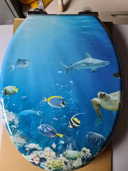 Photo of free Toilet Seat (Llanelli SA15) #1