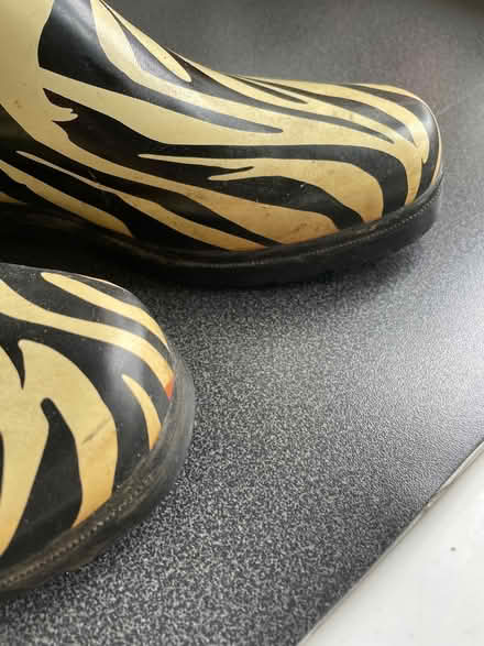 Photo of free Ladies wellies size 7 (Welling DA16) #3