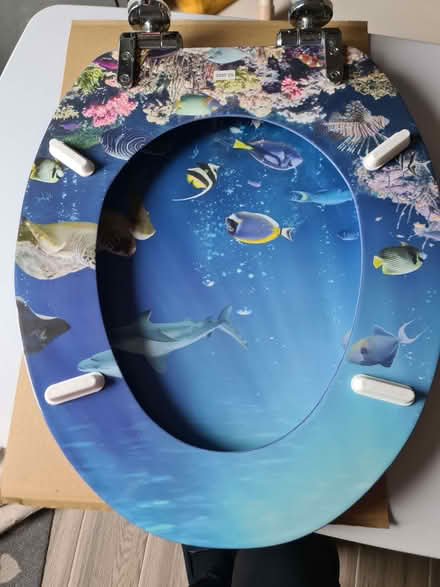 Photo of free Toilet Seat (Llanelli SA15) #2