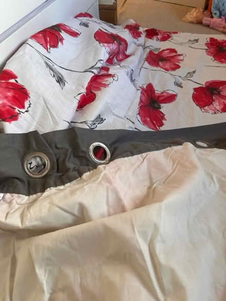 Photo of free A pair of curtains (Craigour EH17) #3