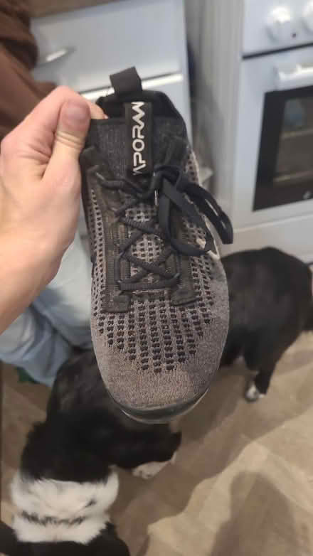 Photo of A lost trainer (Thorton FY5) #1