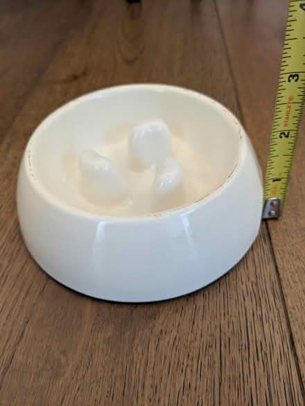 Photo of free Slow feeder dog bowl (Alameda) #2