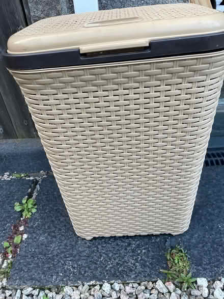 Photo of free Plastic Laundry Basket (Dousland) #1
