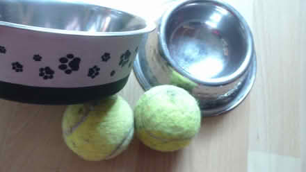 Photo of free Dog bowls/tennis balls (SW15 Roehampton) #1