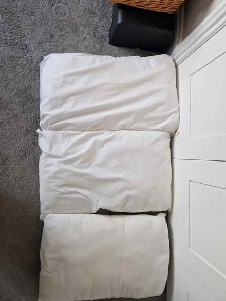 Photo of free Well used pillows x3 (Rusthall, TN4) #1
