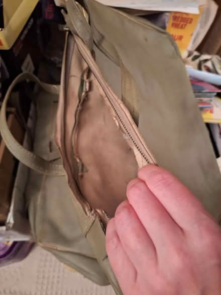 Photo of free 2 green panier bags (GL51) #2